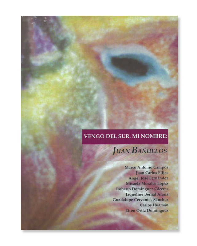 Vengo del sur. Mi nombre: Juan Bañuelos-image